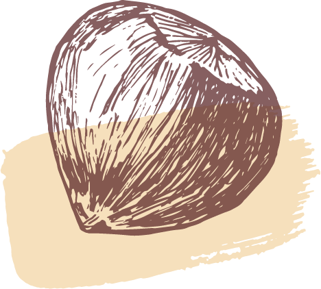 Chestnut with biege background Logo