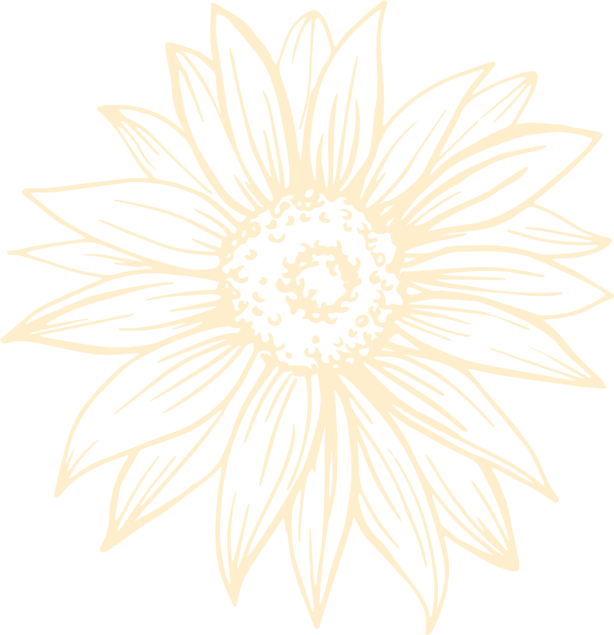 Sunflower background graphic